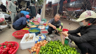 Giá thuê nhà, giá điện tăng kéo CPI tháng 5 tăng 0,16%