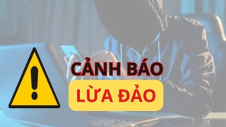 Mất 7 tỷ đồng vì “sập bẫy” lừa đảo chương trình trao đổi sinh viên quốc tế