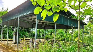 “Cứu” bảo vật Quốc gia