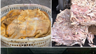 Ngăn chặn hơn 25 tấn thực phẩm bốc mùi hôi thối chuẩn bị đưa vào quán nướng