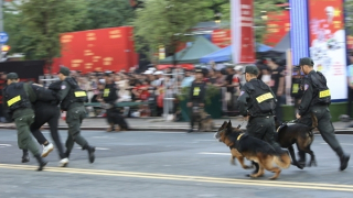 Đã mắt khi xem  cảnh khuyển “tác chiến” chống tội phạm ma túy tại chương trình “Vinh quang CAND Việt Nam”