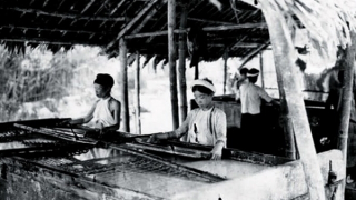 Trách ai ăn giấy bỏ bìa