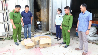 Hơn 11 tấn thịt heo, gà, xúc xích… “quá đát” được phát hiện trong kho lạnh