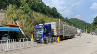 Thông quan nhanh để hoa quả tươi xuất sang Trung Quốc