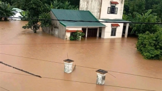 Mưa lũ khiến 300 nhà dân ở huyện Đại Lộc, tỉnh Quảng Nam bị ngập lụt