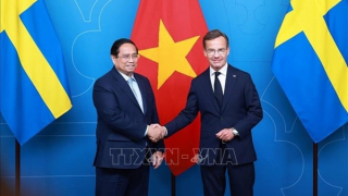 Việt Nam, Thụy Điển nâng cấp quan hệ lên Đối tác chiến lược ngành trong lĩnh vực khoa học - công nghệ và đổi mới sáng tạo