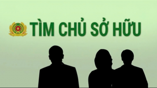 Tìm chủ sở hữu xe máy