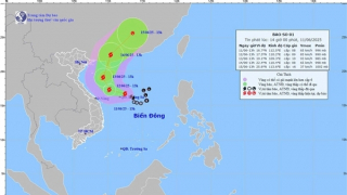 Bão số 1 mạnh lên cấp 11, Quảng Bình đến Huế tiếp tục mưa lớn