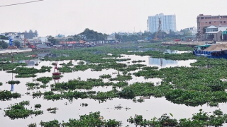Xung quanh việc chấm thầu và trúng nhiều gói thầu sát giá ở Dự án kênh Tham Lương