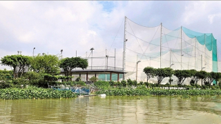 Sân tập golf Long Bình có nằm trên hành lang an toàn sông Đồng Nai?