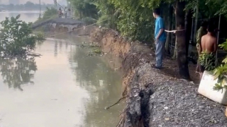 Sạt lở bờ sông, di dời khẩn cấp 4 hộ dân nhà sát sông Sài Gòn