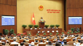 Quốc hội chuẩn bị chất vấn hai Bộ trưởng: Tài chính; Giáo dục và Đào tạo