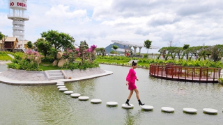 An Hảo Solar Farm - Điểm đến hấp dẫn