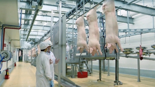 Doanh nghiệp sở hữu quy trình sản xuất thịt ủ mát chuẩn Âu