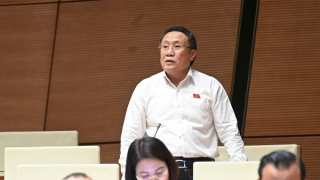 Cần hỗ trợ hộ kinh doanh khai thuế cho đến khi họ làm được thay vì sẽ phạt