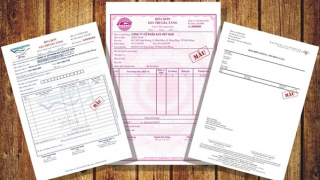 Lò mổ ở Cà Mau xuất khống hóa đơn gia công trên 20.000 con heo cho Công ty C.P. Việt Nam