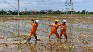 Hàng loạt cột điện ở Thanh Hoá gãy, đổ sau dông lốc