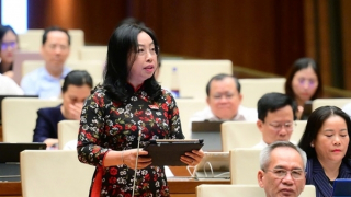 Đại biểu truy trách nhiệm vấn nạn thực phẩm giả, thuốc giả, Bộ trưởng Bộ Y tế nói gì?