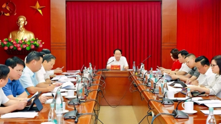 4/6 vụ án, vụ việc ở Hải Phòng rút ra khỏi diện Trung ương theo dõi, chỉ đạo xử lý