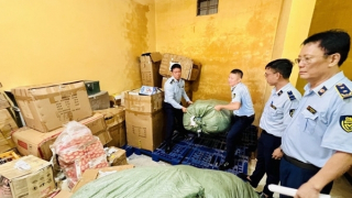 Thủ tướng phân công các Phó Thủ tướng chỉ đạo thực hiện những công việc cấp bách