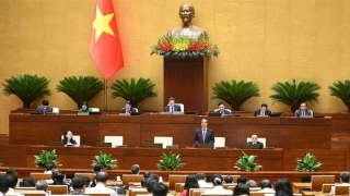 "Ngày không còn bạo lực học đường là ngày người lớn không còn đánh nhau nữa"