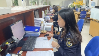 Chính thức thực hiện tự động phân công công chức kiểm tra hồ sơ hải quan