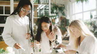 Khi châu Âu giương buồm đón gió từ bên kia Đại Tây Dương