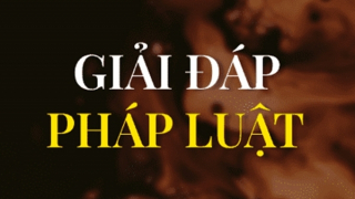 Chủ hộ kinh doanh có phải nộp bảo hiểm xã hội bắt buộc không?