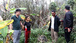 Triệt phá đường dây vận chuyển ma túy từ Lào đến Kon Tum và Quảng Ninh