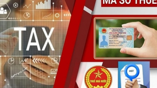 Từ 1/7/2025, chính thức sử dụng số định danh cá nhân thay mã số thuế
