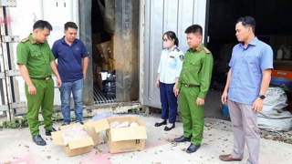 Ngăn chặn thực phẩm bẩn len lỏi vào bữa ăn gia đình