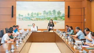 Đề nghị làm rõ điều phối giữa Bộ Công an, TAND tối cao, Bộ Quốc phòng khi điều tra đặc biệt hoặc dẫn độ