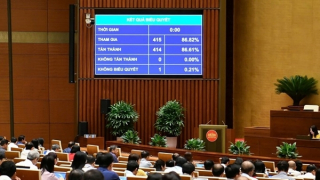 Quốc hội bổ sung nội dung về việc miễn thị thực cho người nước ngoài đặc biệt cần ưu đãi nhập cảnh