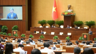 Bốn nhóm chức danh chỉ được có 1 quốc tịch Việt Nam và phải thường trú tại Việt Nam