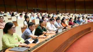 Rút ngắn thời gian bầu cử đại biểu Quốc hội khoá XVI, kịp thời kiện toàn nhân sự