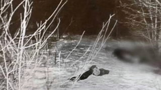 Hành trình 48 năm đưa kẻ sát nhân ra ánh sáng