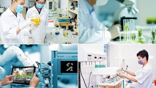 Phát động Giải thưởng báo chí về khoa học, công nghệ, đổi mới sáng tạo và chuyển đổi số năm 2025