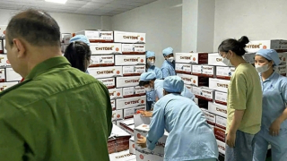 Sữa giả và lỗ hổng từ cơ chế cấp phép