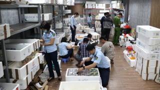 Quyết liệt phòng, chống hàng giả, xây dựng thị trường lành mạnh