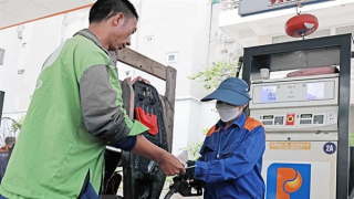 Bảo đảm xăng dầu phục vụ sản xuất và tiêu dùng