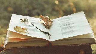 Có phải "nền thơ ca chính thống của ta hiếm có lấy một bài buồn"...