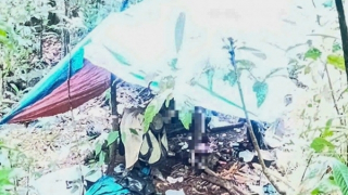 Phát hiện thi thể người đàn ông trên võng trong rừng sâu