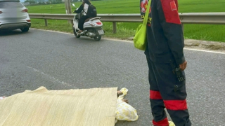 Điều tra nghi án đâm bạn gái trọng thương rồi lao vào ôtô tải tự vẫn