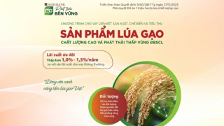 Agribank triển khai chương trình tín dụng ưu đãi phục vụ Đề án 1 triệu hecta lúa, phát thải thấp vùng ĐBSCL