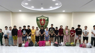 Triệt phá đường dây sản xuất, mua bán 70.000 chai dầu "Con Ó" giả trị giá hàng tỷ đồng