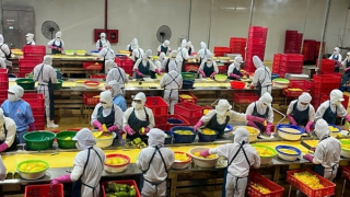 Cần nâng cao năng lực chế biến sâu và bảo quản nông sản sau thu hoạch