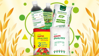 Bộ ba vàng vô cơ – hữu cơ – sinh học của Phú Mỹ - PVFCCo