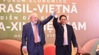 "Định hướng phát triển của Việt Nam phù hợp với ưu tiên chiến lược của BRICS"