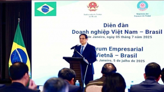 Đối tác Chiến lược Việt Nam-Brazil: "Quan hệ kinh tế luôn là trụ cột quan trọng"
