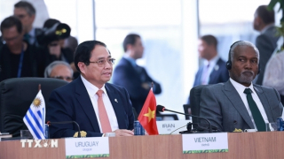 Thủ tướng Phạm Minh Chính nêu 5 đề xuất vì môi trường, y tế toàn cầu tại Hội nghị BRICS